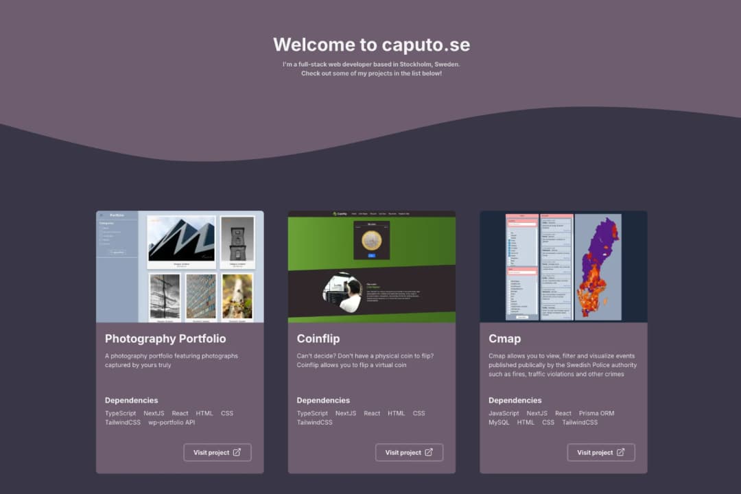 Screenshot of the Project Portfolio website